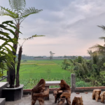 Cuplikan layar 2025-08-15 155818