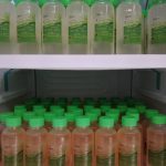 WhatsApp Image 2025-08-11 at 14.18.02