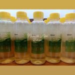 WhatsApp Image 2025-08-11 at 14.18.05